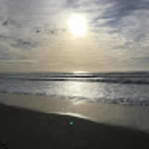 Meet your Posher, Joni